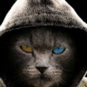 Meet your Posher, Tony